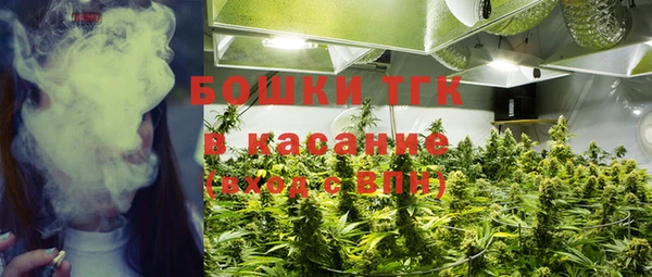 мяу мяу мука Михайлов