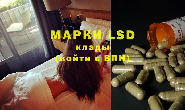 мяу мяу мука Михайлов