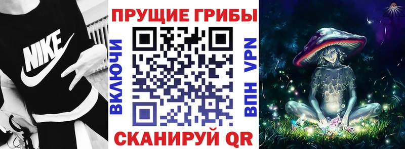 Купить где  Малмыж  Галлюциногенные грибы прущие грибы 